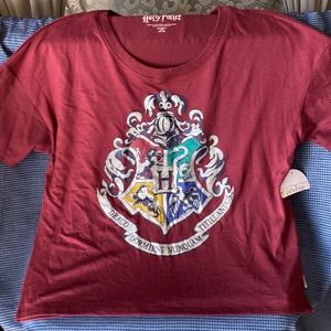 Harry Potter Licensed logo large top by warner brothers